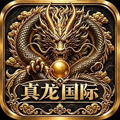 真龙国际